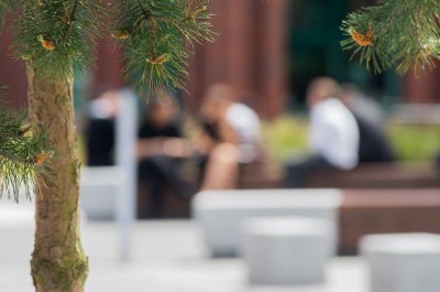 Out of focus image of Frank offices